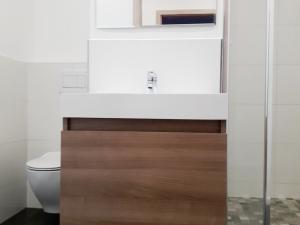 Pronájem bytu 1+1, Frýdek-Místek, I. P. Pavlova, 36 m2