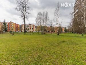 Pronájem bytu 3+1, Olšany, 76 m2