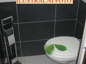 Pronájem bytu 3+1, Držovice, 90 m2