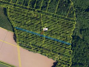 Dražba lesa, Hradčany-Kobeřice, 1989 m2