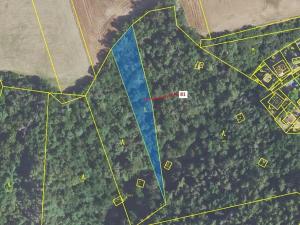 Dražba lesa, Sýkořice, 1816 m2