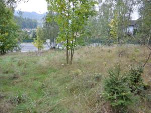 Prodej zahrady, Liberec, 1233 m2
