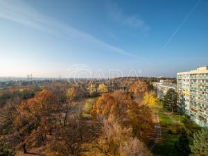 Prodej bytu 3+1, Praha - Chodov, Radimovická, 62 m2