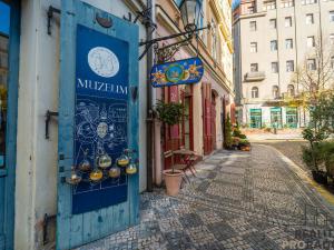 Prodej bytu 2+kk, Praha - Staré Město, Kozí, 45 m2