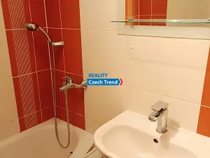 Pronájem bytu 1+1, Olomouc, Dělnická, 37 m2