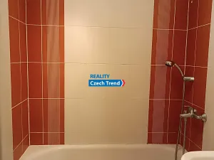 Pronájem bytu 1+1, Olomouc, Dělnická, 37 m2