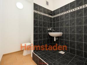 Pronájem bytu 1+1, Český Těšín, Viaduktová, 39 m2