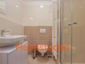 Pronájem bytu 1+kk, Plzeň - Jižní Předměstí, Magisterská, 30 m2