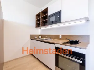 Pronájem bytu 1+kk, Plzeň - Jižní Předměstí, Magisterská, 30 m2