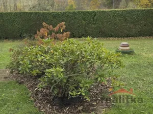 Prodej chaty, Brumovice - Pocheň, 70 m2