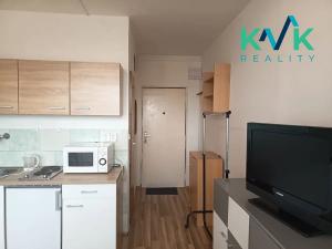 Pronájem bytu 1+kk, Karlovy Vary, Fibichova, 18 m2