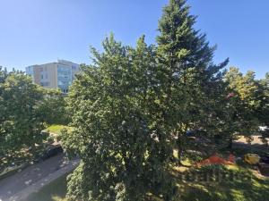 Prodej bytu 3+1, Opava - Předměstí, Elišky Krásnohorské, 62 m2