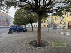 Pronájem obchodního prostoru, Šternberk, ČSA, 88 m2