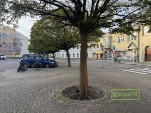 Pronájem obchodního prostoru, Šternberk, ČSA, 88 m2