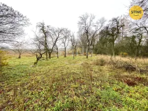Prodej rodinného domu, Dětřichov u Moravské Třebové, 300 m2