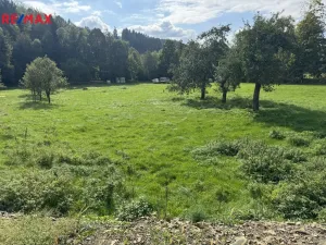 Prodej pozemku pro bydlení, Nový Hrozenkov, 4827 m2