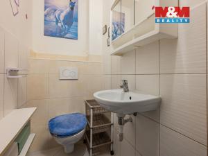 Prodej bytu 3+1, Řehenice, Doly, 83 m2