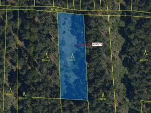 Dražba lesa, Vracov, 1662 m2