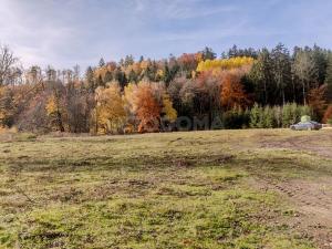 Prodej pozemku pro bydlení, Konstantinovy Lázně, 1196 m2