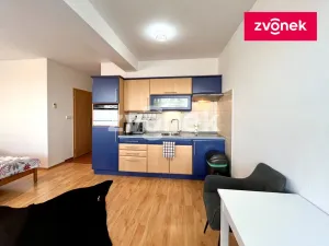 Pronájem bytu 1+kk, Zlín, Voženílkova, 30 m2