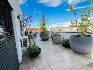 Pronájem bytu 2+kk, Praha, Křížová, 66 m2