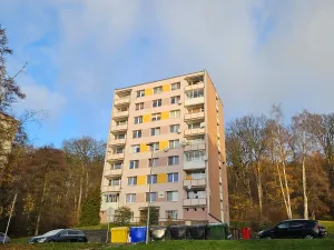 Prodej bytu 1+1, Litvínov - Horní Litvínov, Tylova, 37 m2