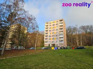 Prodej bytu 1+1, Litvínov - Horní Litvínov, Tylova, 37 m2