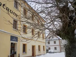 Prodej komerční nemovitosti, Branná, 23 m2