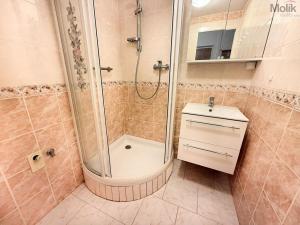 Pronájem bytu 2+1, Duchcov, Vrchlického, 52 m2