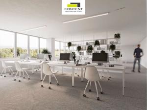 Pronájem výrobních prostor, Tachov - Oldřichov, 14074 m2