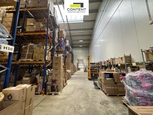 Pronájem výrobních prostor, Dubno, 5668 m2