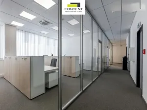 Pronájem výrobních prostor, Hustopeče, Brněnská, 11000 m2