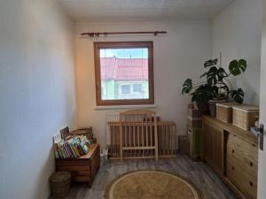 Pronájem bytu 3+1, Lipová-lázně, 55 m2