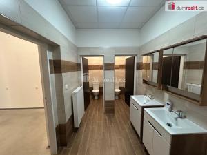 Pronájem skladu, Kolín - Kolín IV, Polepská, 263 m2