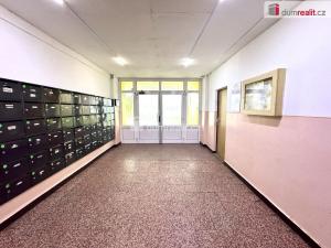 Pronájem bytu 1+kk, Litvínov - Horní Litvínov, Mostecká, 22 m2