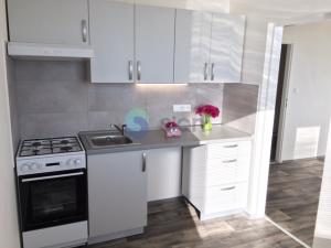 Prodej bytu 2+1, Ostrava - Bělský Les, Vlasty Vlasákové, 44 m2