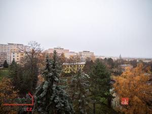 Prodej bytu 3+1, Most, Zdeňka Fibicha, 71 m2