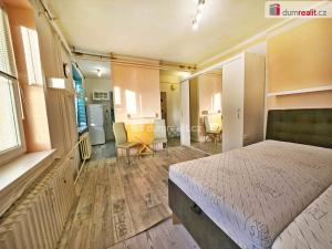 Pronájem bytu 1+kk, Lovosice, Kostelní, 24 m2