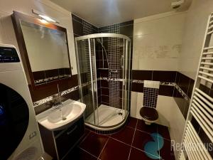 Pronájem bytu 2+kk, České Budějovice, B. Smetany, 55 m2