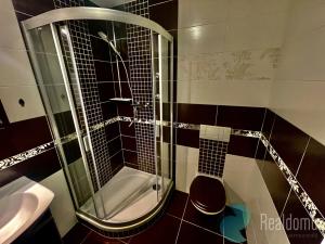 Pronájem bytu 2+kk, České Budějovice, B. Smetany, 55 m2