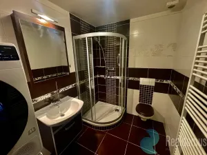 Pronájem bytu 2+kk, České Budějovice, B. Smetany, 55 m2