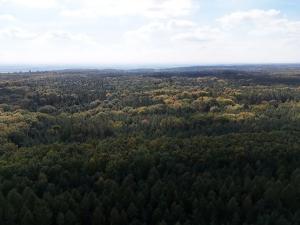 Prodej výrobních prostor, Seletice, 1508 m2