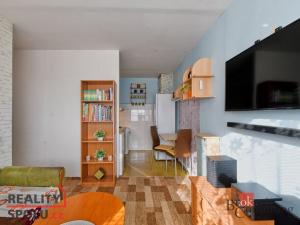 Prodej bytu 2+kk, Brandýs nad Labem-Stará Boleslav - Brandýs nad Labem, Na vinici, 32 m2