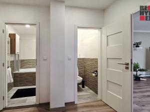 Prodej bytu 3+1, Liberec - Liberec XXV-Vesec, Fričova, 77 m2