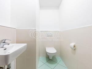 Pronájem bytu 3+kk, Praha - Dolní Měcholupy, Kryšpínova, 84 m2