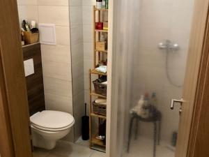 Pronájem bytu 2+kk, Brno, Staňkova, 41 m2