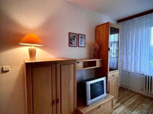 Pronájem bytu 1+1, Třebíč, Benešova, 41 m2