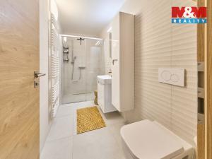 Prodej bytu 2+kk, Černý Důl, 42 m2