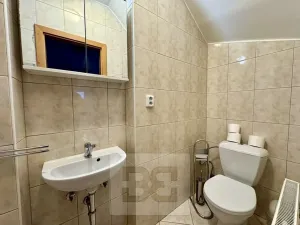 Pronájem rodinného domu, Česká, 200 m2