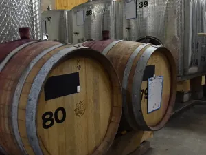 Prodej rodinného domu, Moravská Nová Ves, Pod Kostelem, 108 m2